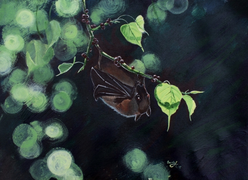 Bat eating figs